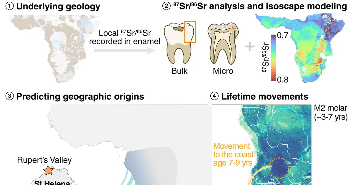 Tooth enamel reveals the origins of African slaves buried on St Helena