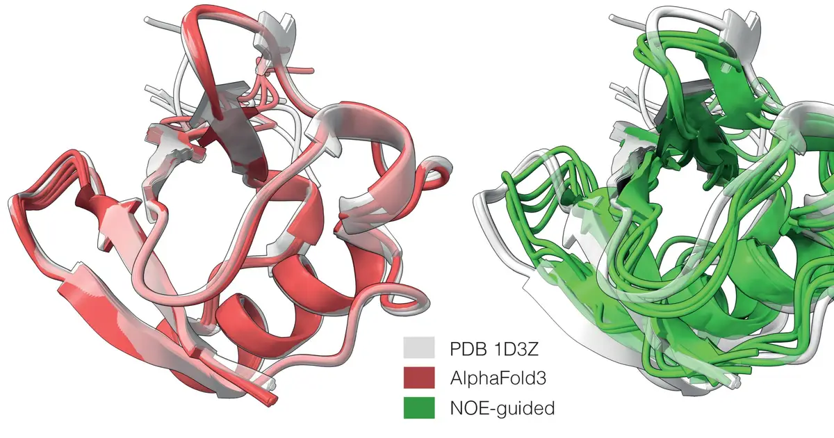 Toward experiment-guided AlphaFold: Researchers overcome AI tool's single-conformation limitation