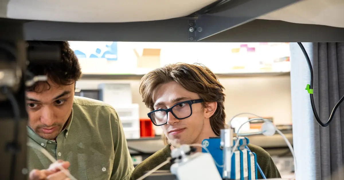 Researchers build microscopic DNA 'sails' to pull molecules apart