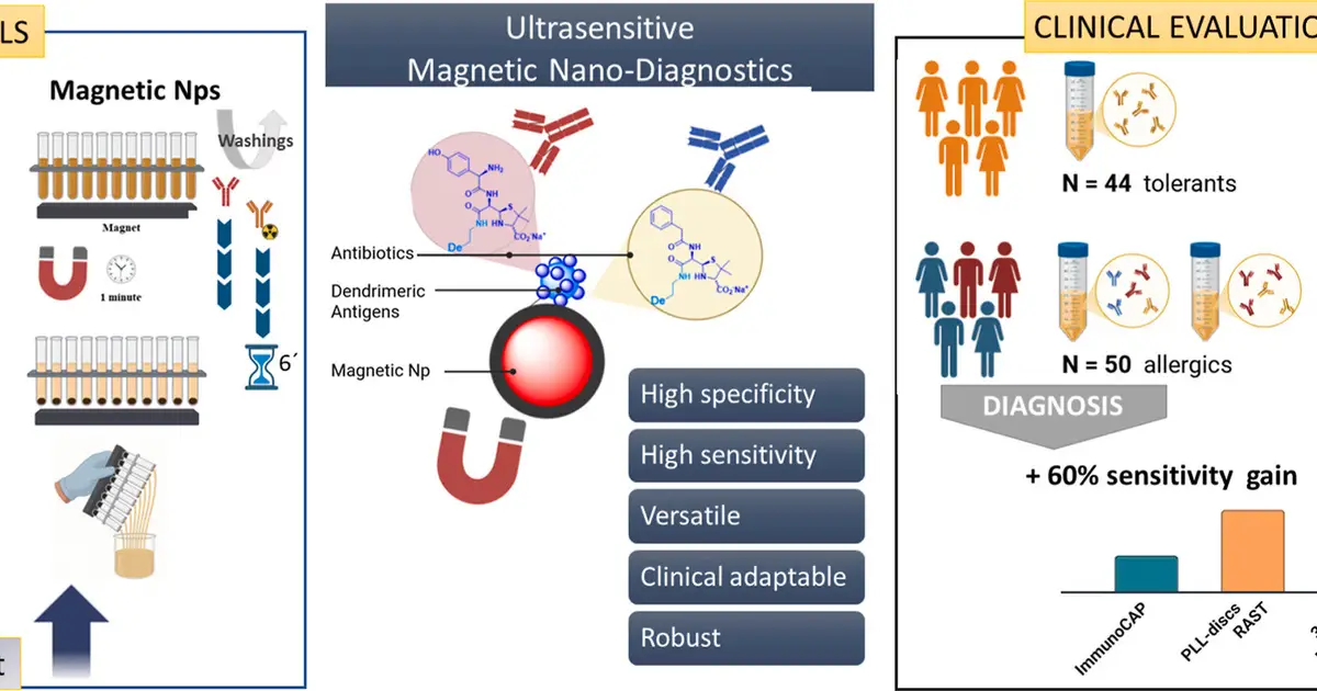 Magnetic nanoparticles detect amoxicillin allergy with 98% sensitivity in early tests