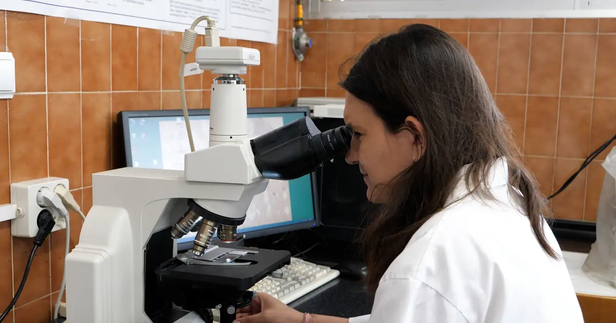 Scientists improve the analgesic efficacy of morphine