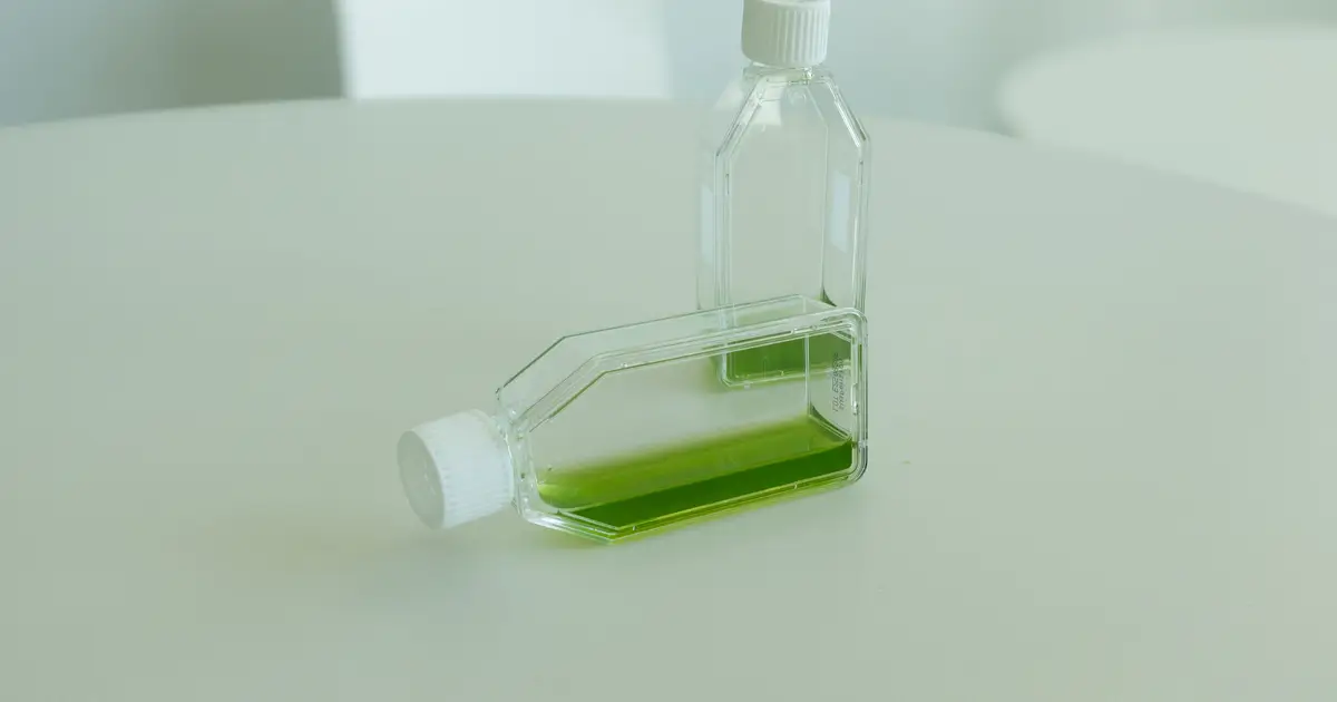 Moderate warming rewires one-third of microalga's genes, study finds