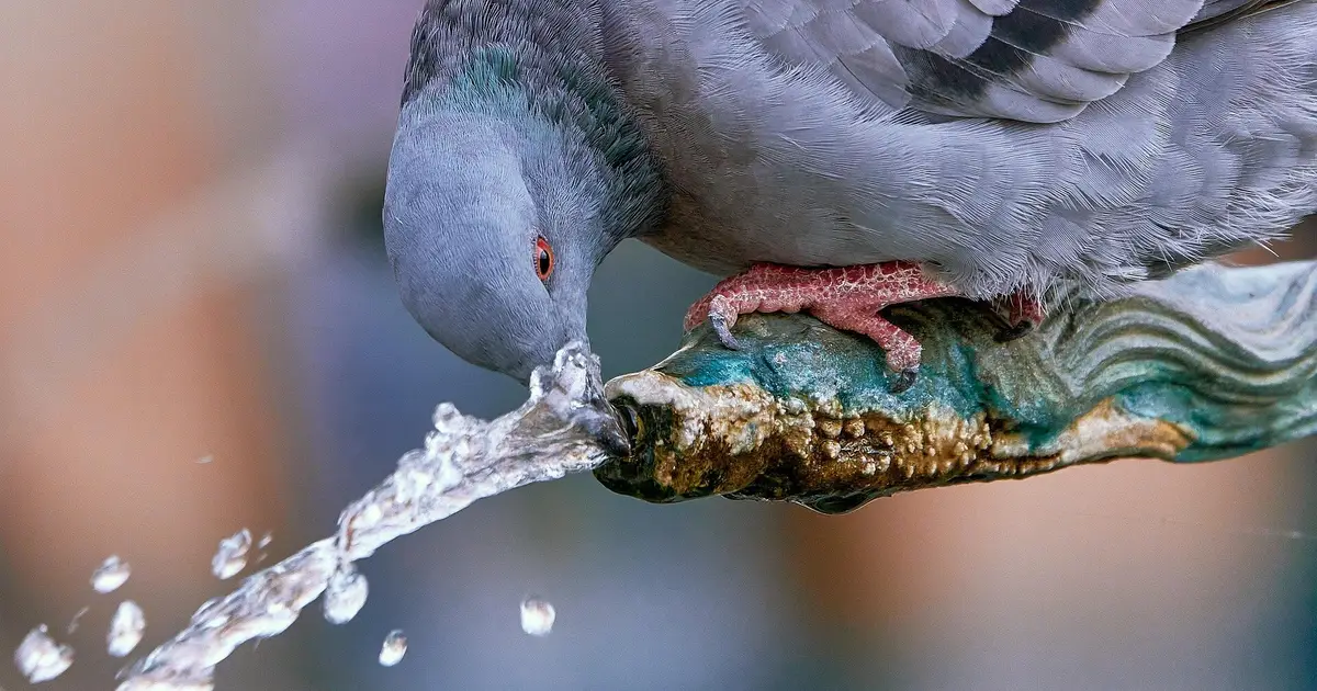 Rethinking urban nature as technonature