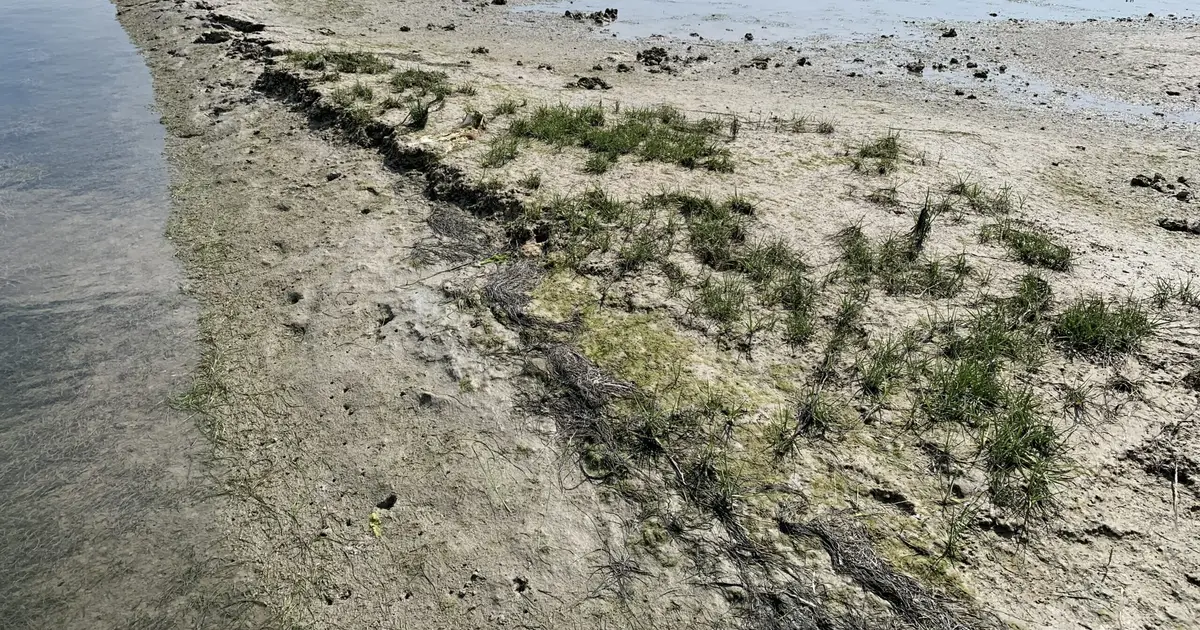 Venice Lagoon provides living laboratory for researchers studying climate change