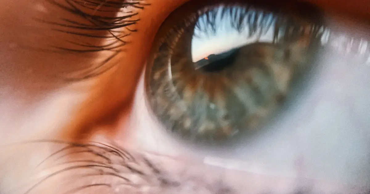 The brain on the edge of chaos: What keeps our vision under control?