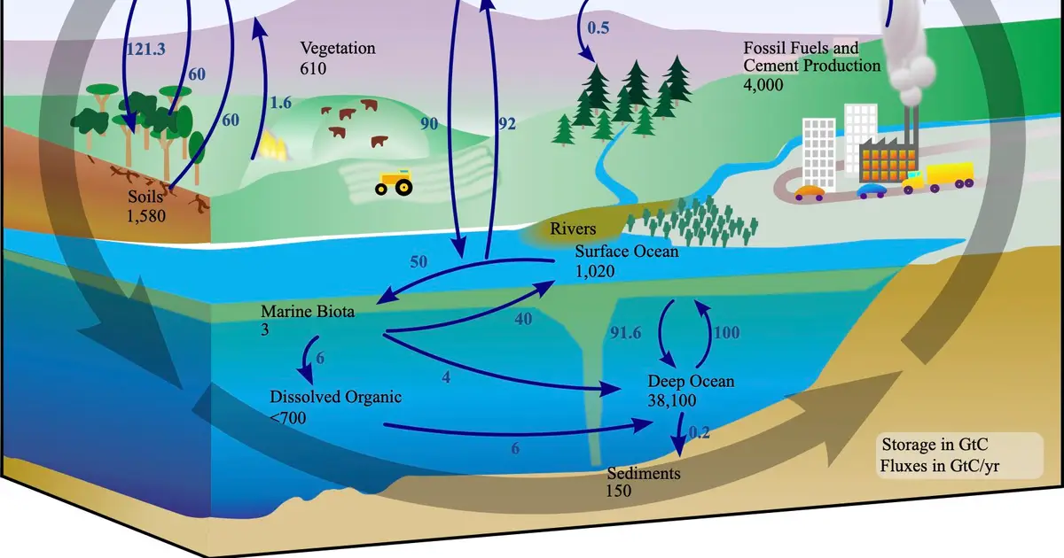 Warming could help make the Indian Ocean a stronger climate buffer