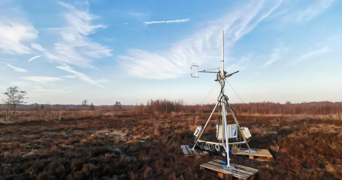 Rewetting peatlands may curb warming-driven CO₂ emissions