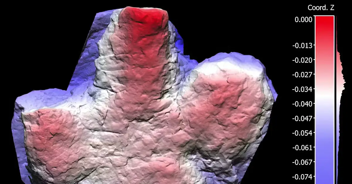 We discovered rare dinosaur tracks from the Coniacian age near Tumbler Ridge, British Columbia