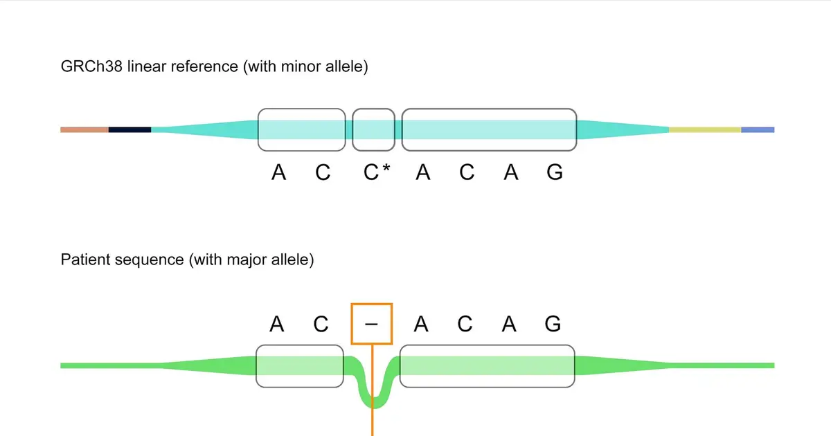 We may need a new map to properly interpret our genome