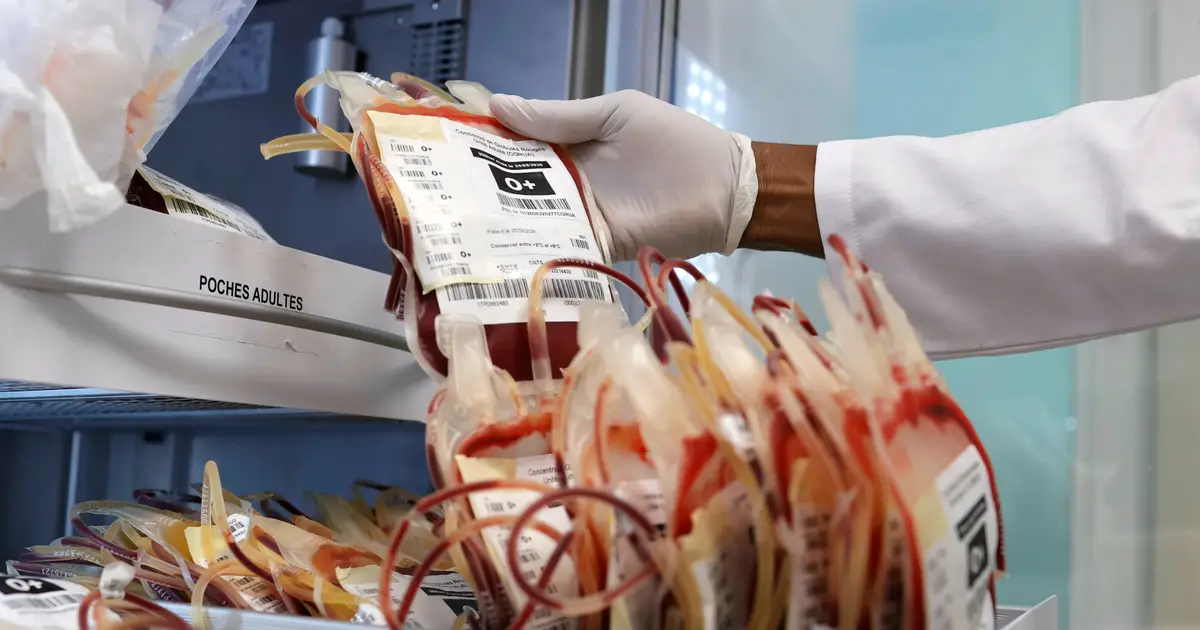 West African scientists warn of weakening health systems and urge stronger outbreak detection