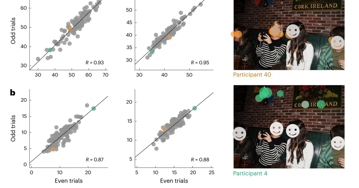 What people look at most reflects their brains' specialization