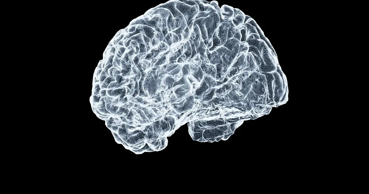 Blood-brain barrier modulation stimulates myelin-producing cells