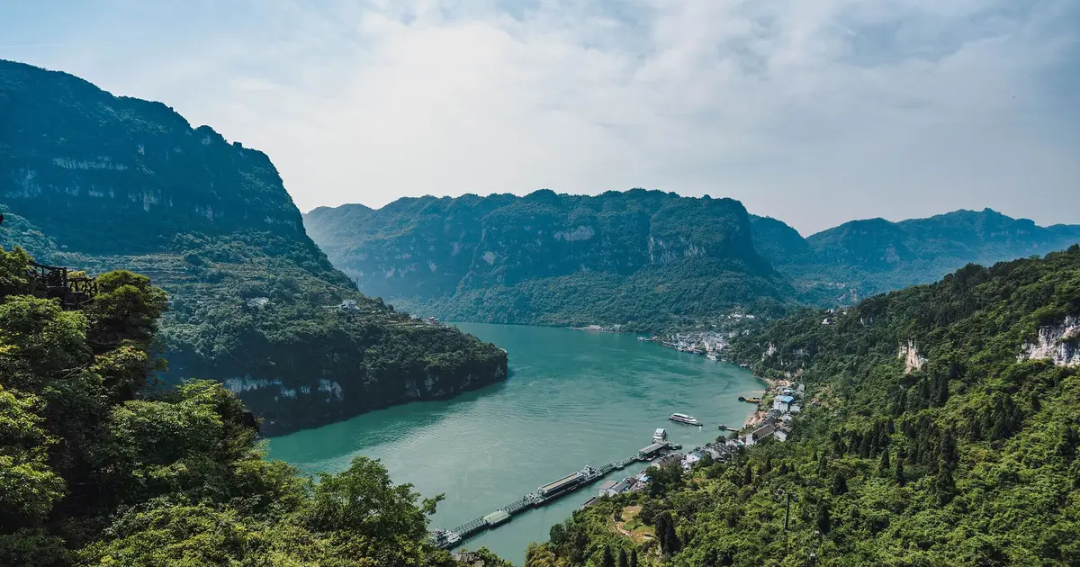 Why natural forests survive heat waves better than planted forests