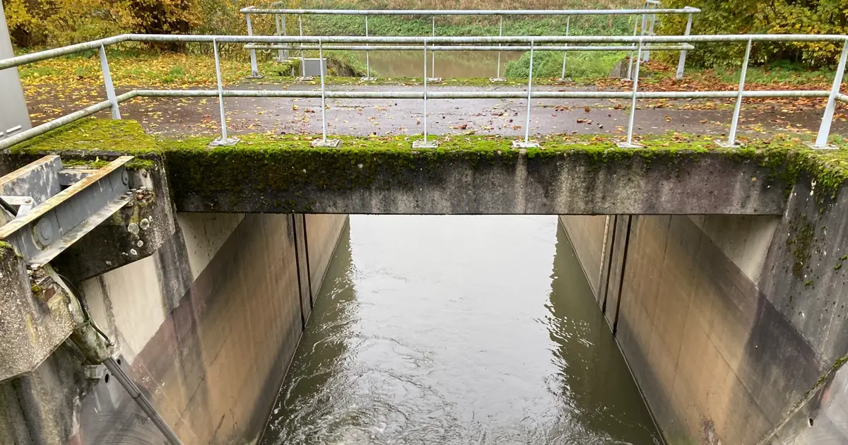 Why restoring rivers isn't enough: New research shows fish are evolving in response to human-made rivers