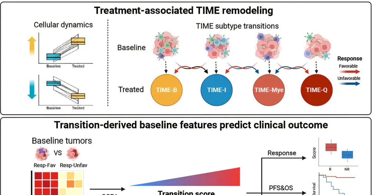 Early changes in the tumor environment may explain why immunotherapy works for some patients but not others