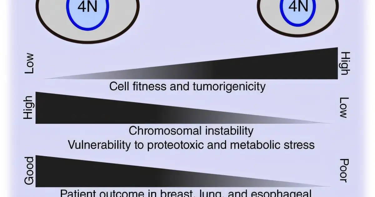 Why some cancers are worse than others