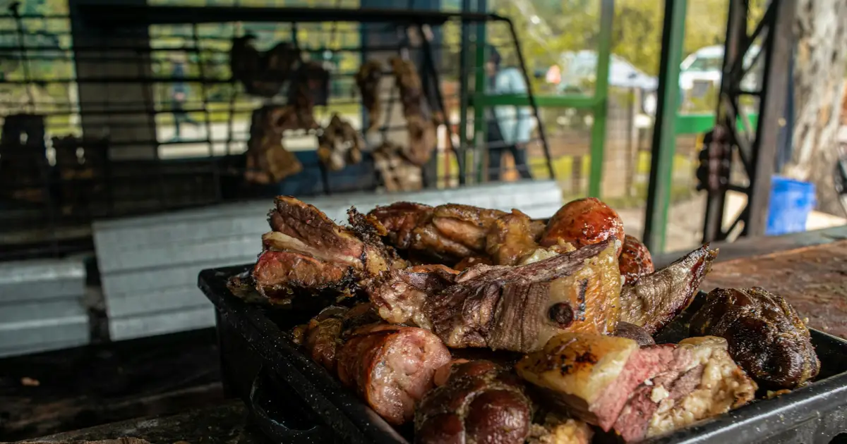 Central Africa's wild meat dilemma: Why outright bans threaten food security for millions