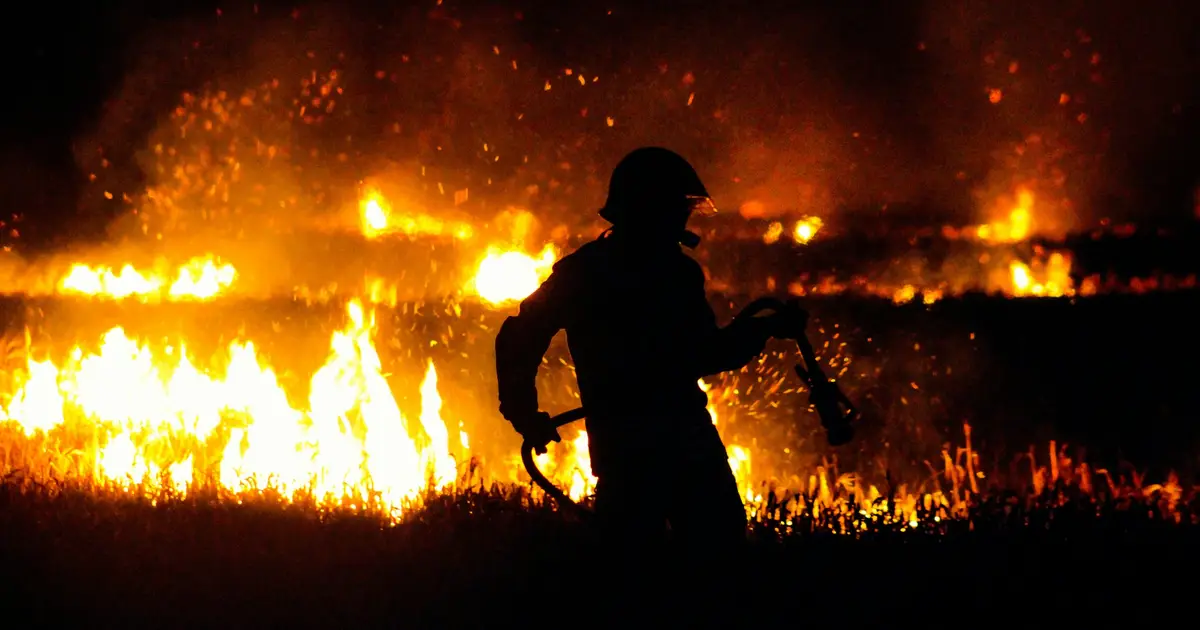Wildfire strategy doesn't need a winner—with 3 camps fighting for dominance, the system can't keep up with the risk