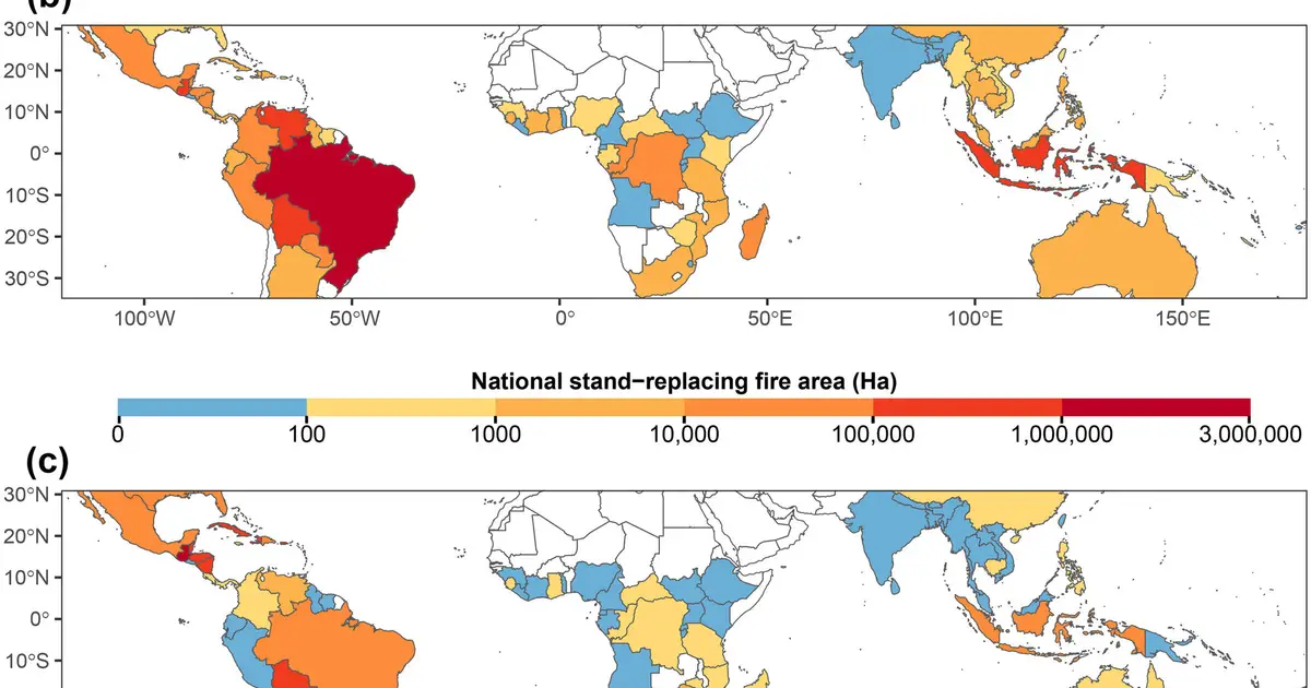 Wildfires have destroyed an area of protected tropical forest twice the size of Wales since 2001, study reveals