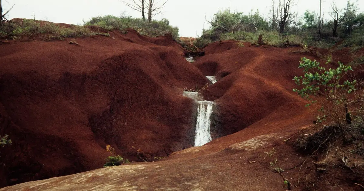Without bacteria or chemicals: How methanol and formaldehyde form abiotically in nature