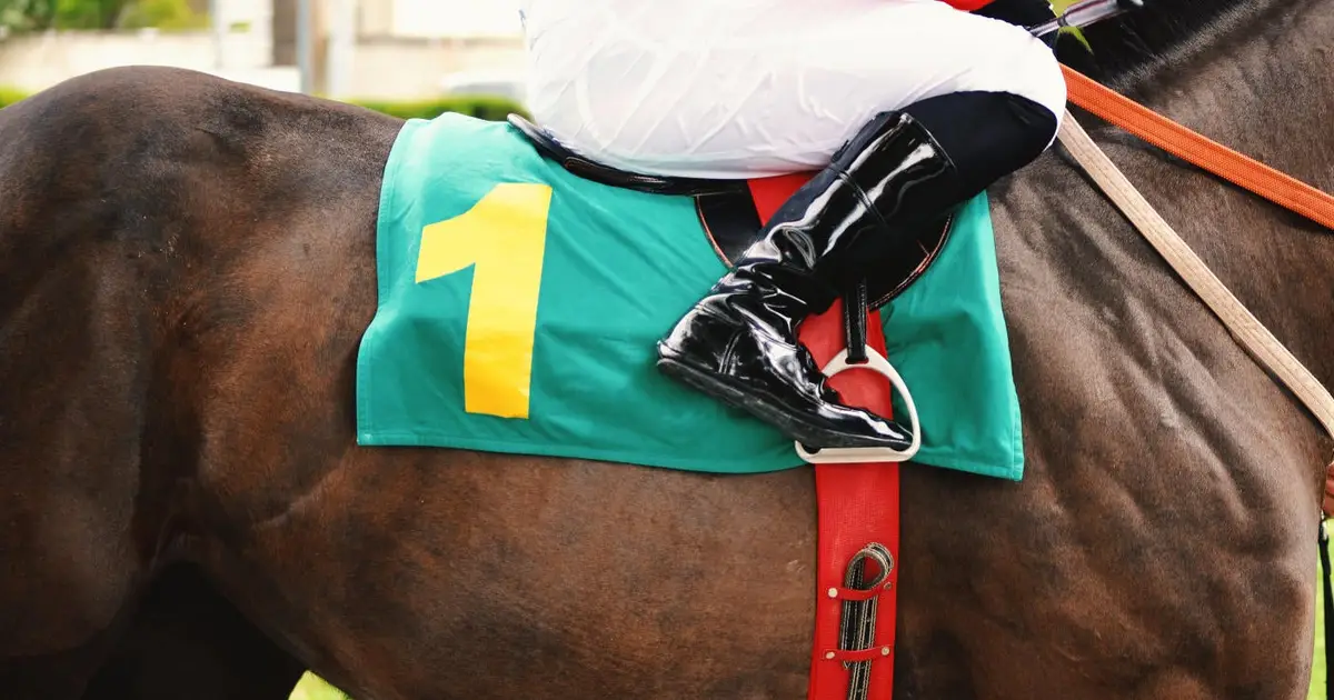 FanDuel Racing promo code: Get $50 racing bonus for Breeders' Cup online betting