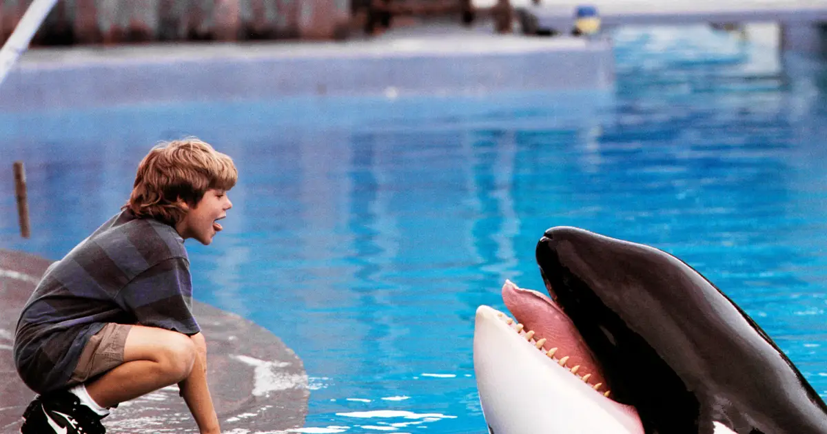 ‘Free Willy’ Reboot in the Works at Warner Bros.