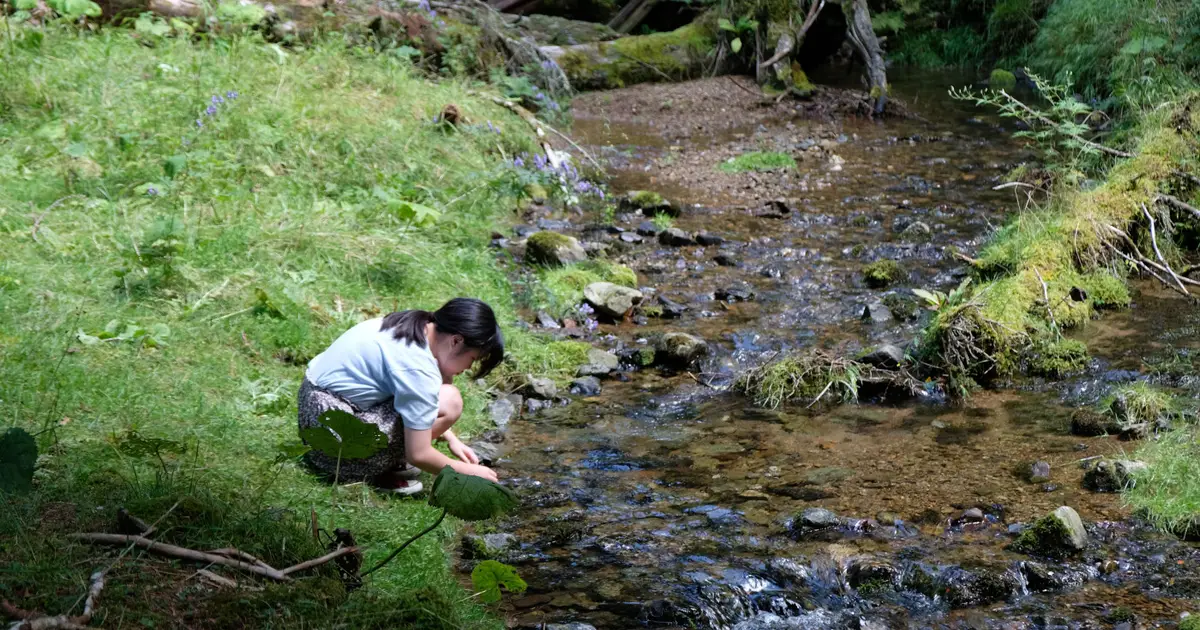 ‘Incinerator’ Review: Award-Winning Japanese Portrait of a Teenage Loner Is Gentle to a Fault
