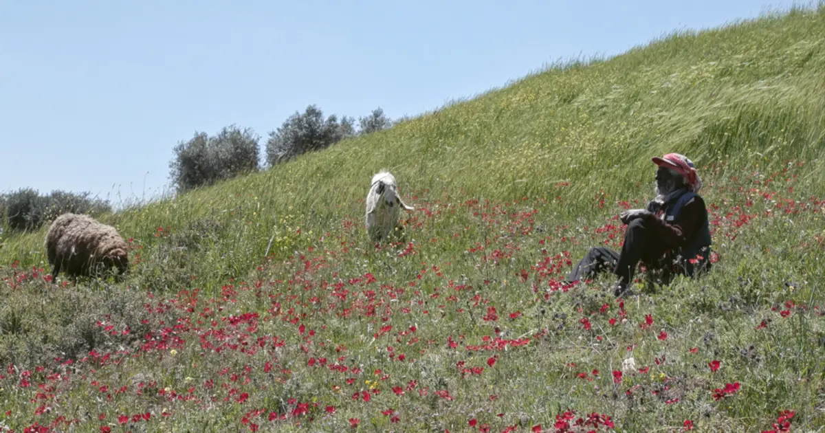 Odd Slice Films Boards Documentary ‘Concrete Land’ Ahead of Locarno Premiere (EXCLUSIVE)