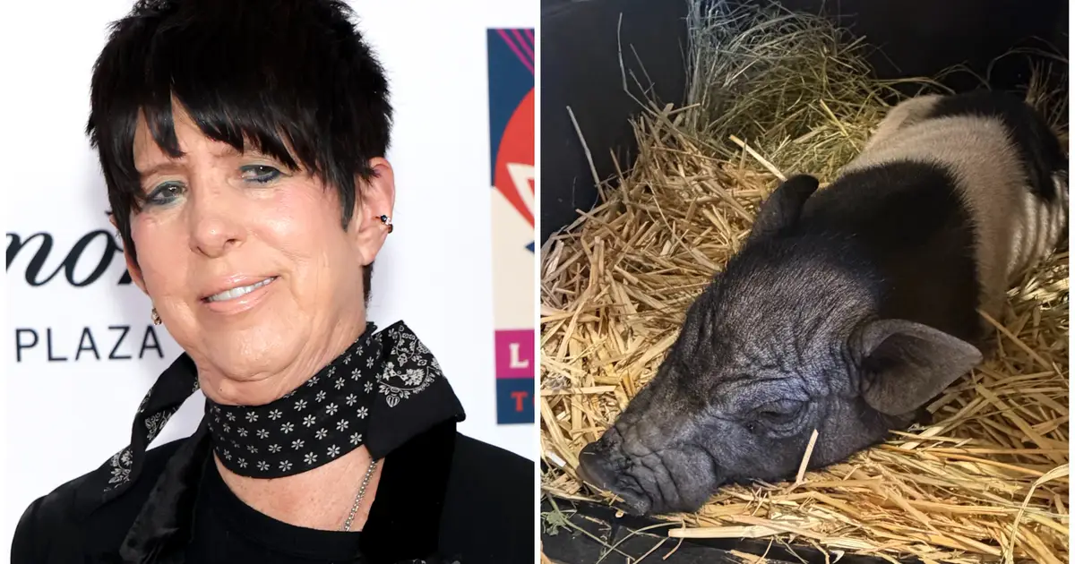 Diane Warren Adopts West Hollywood’s Runaway Pig: ‘Welcome Wilbur!’