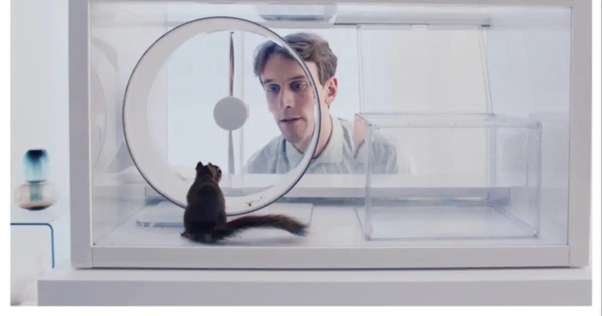 Markus Lehmusruusu’s Finnish Oscar Entry ‘The Squirrel’ Earns Aki Kaurismäki’s Stamp of Approval: ‘He Said It’s Like ‘2001: A Space Odyssey,’ but Better Becaus…
