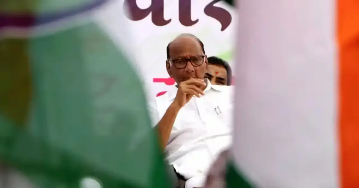 NCP (SP) Emerges Kingmaker In Sangli, Akola Civic Polls As BJP Misses Majority