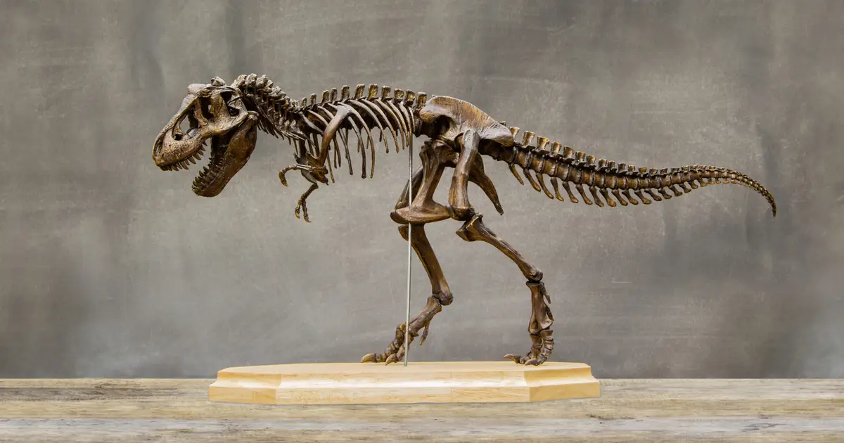 AI Is Working To Solve A Mystery Involving Dinosaur Footprints That Been Stumping Experts For Over A Century