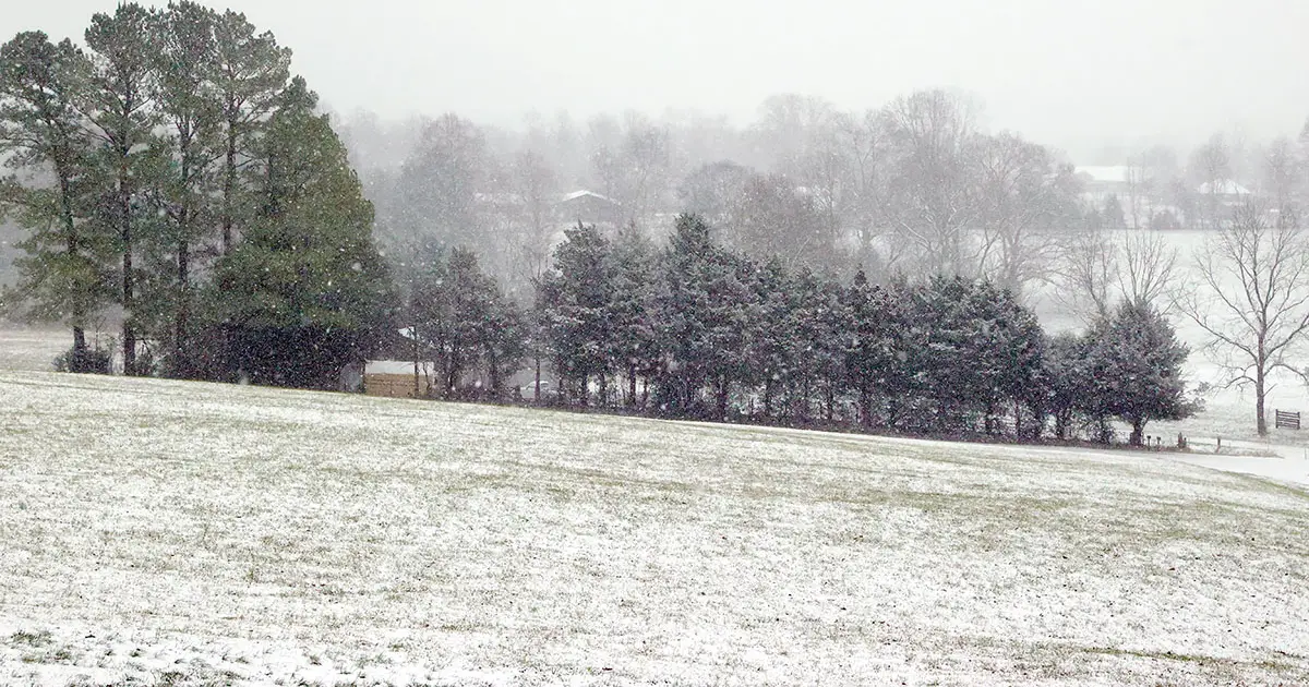 Clarksville - Montgomery County Faces Heavy Snow , Sleet , and Ice Under Winter Storm Warning - Clarksville Online - Clarksville News , Sports , Events and Information