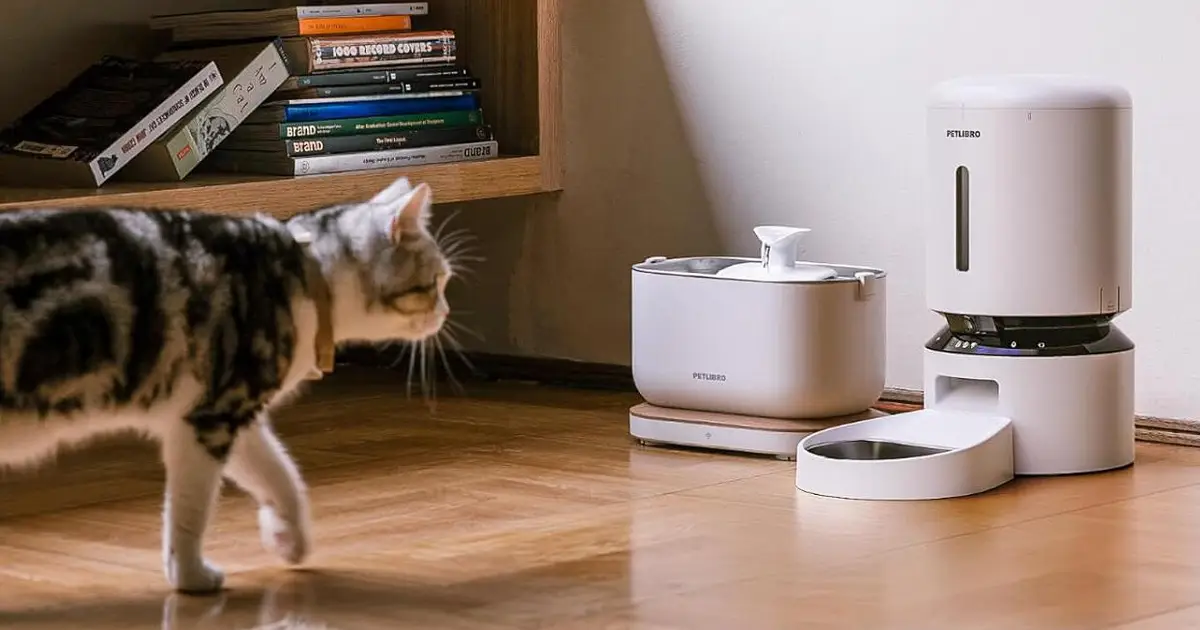 Pets Left in a Ruff Spot After Automatic Feeders Go Down
