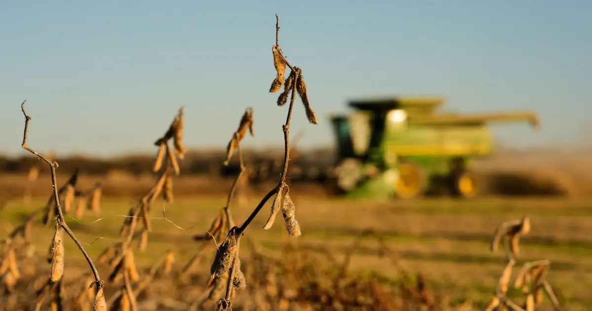 China meets initial soybean purchase goal , but Trump shifting trade policy could disrupt deal