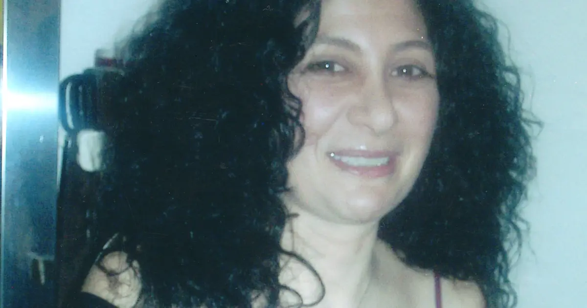 Can AI solve the 2007 disappearance of Shaida Ghaemi from Wheat Ridge ?