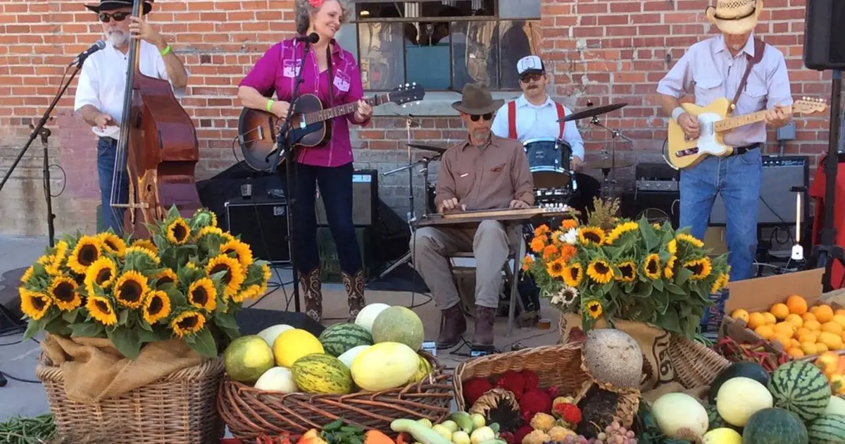 Winters Friends of the Library 28th annual summer concert set for July 2 – Daily Democrat