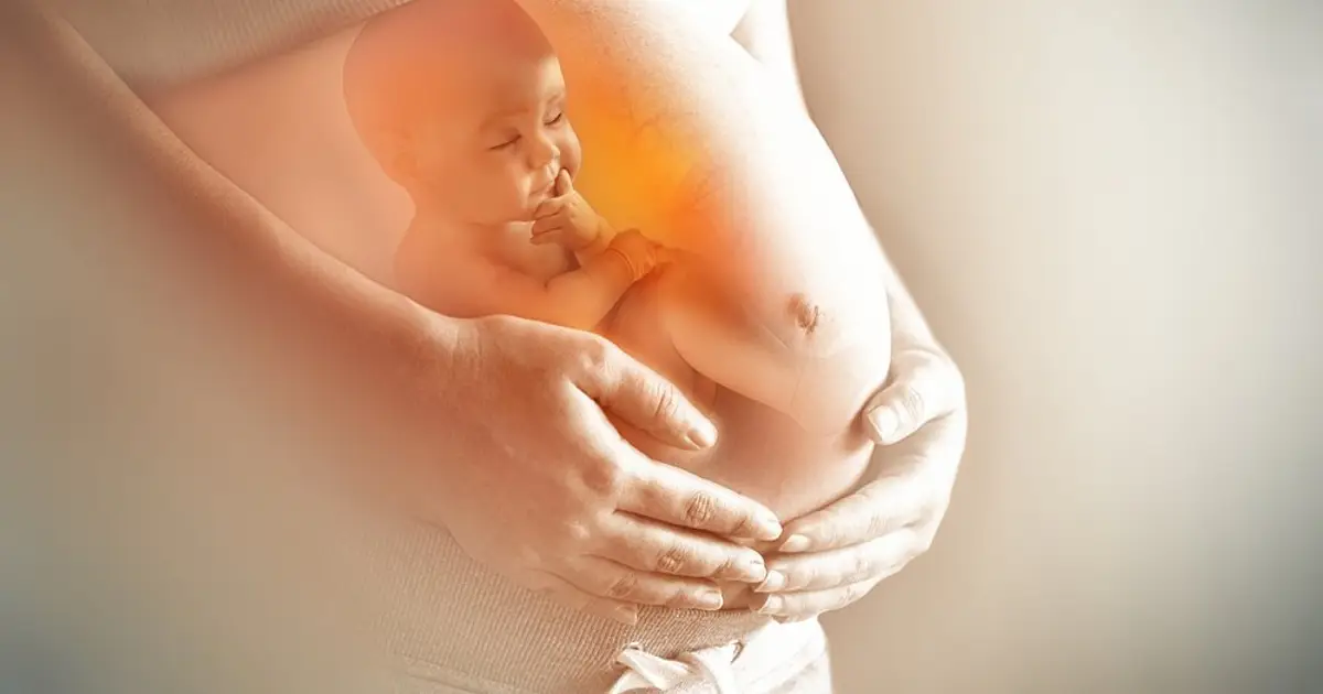 Ohio Senate Committee Holds Hearing on Bill to Stop Abortion Pills