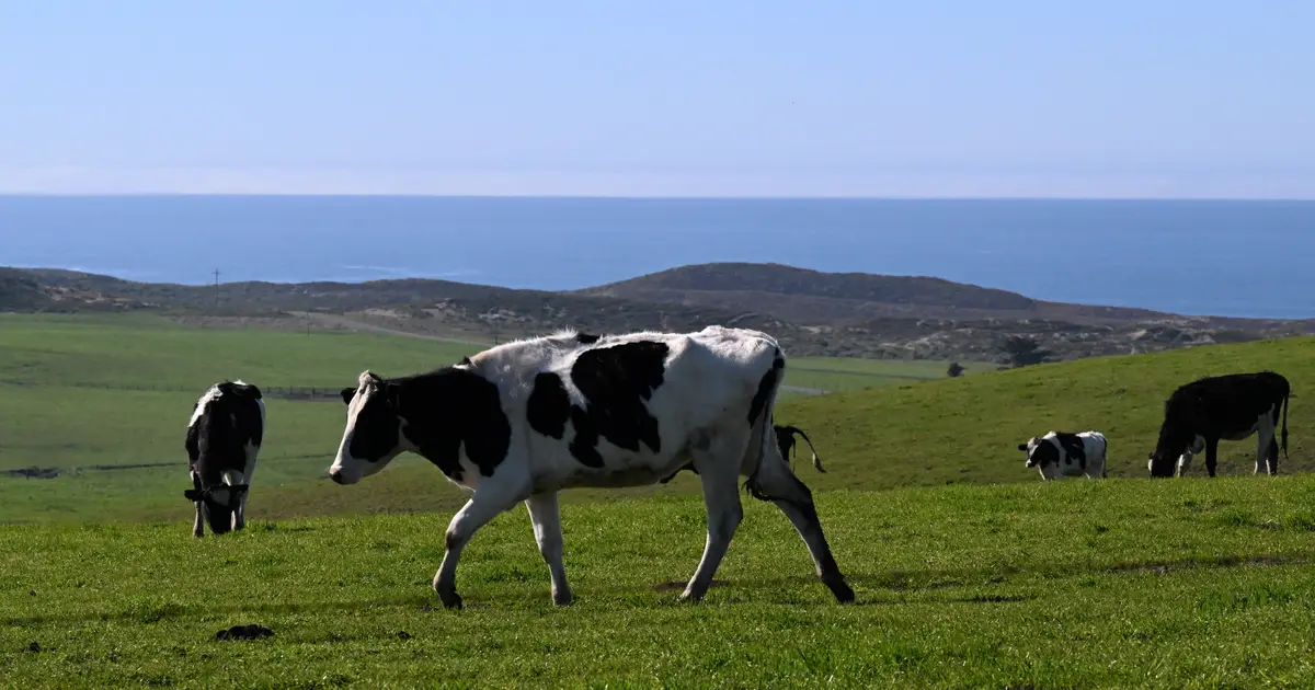 US official wades into coastal Marin agriculture conflict