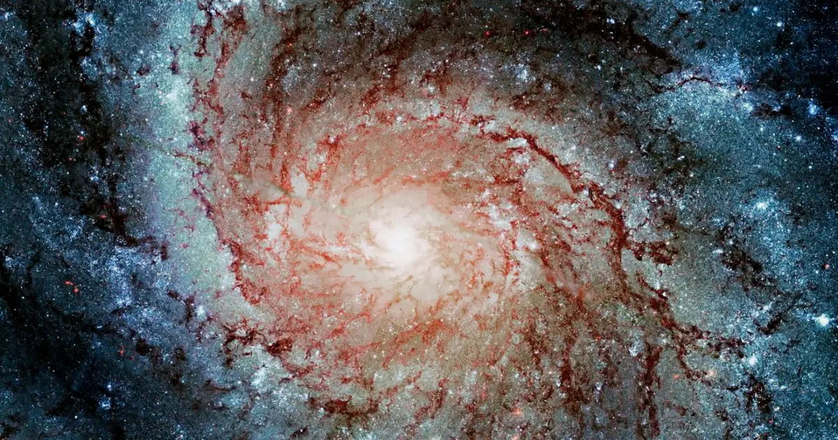 Everything from cells to stars to particles exists on the edge of chaos