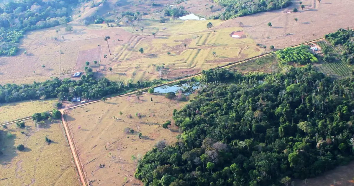 Lost civilisation in the Amazon may have numbered 3 million people