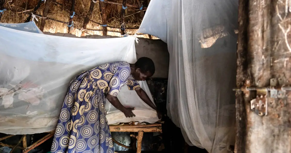 Climate change may help eliminate malaria from West and Central Africa