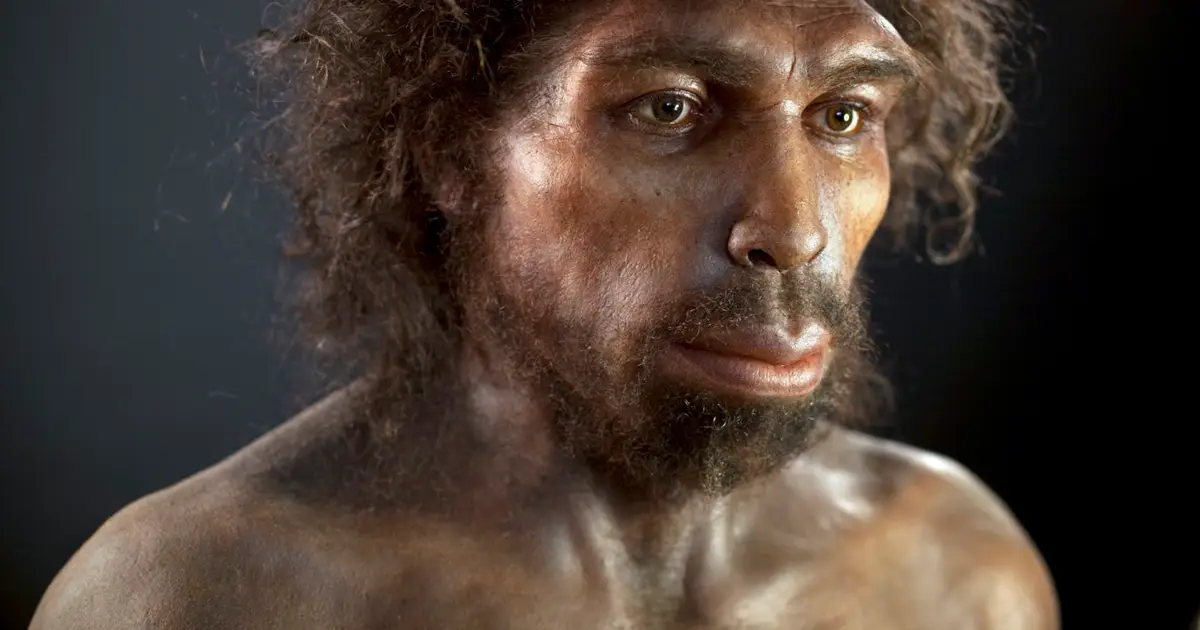 The genome of a long-extinct ancient human is hiding within us