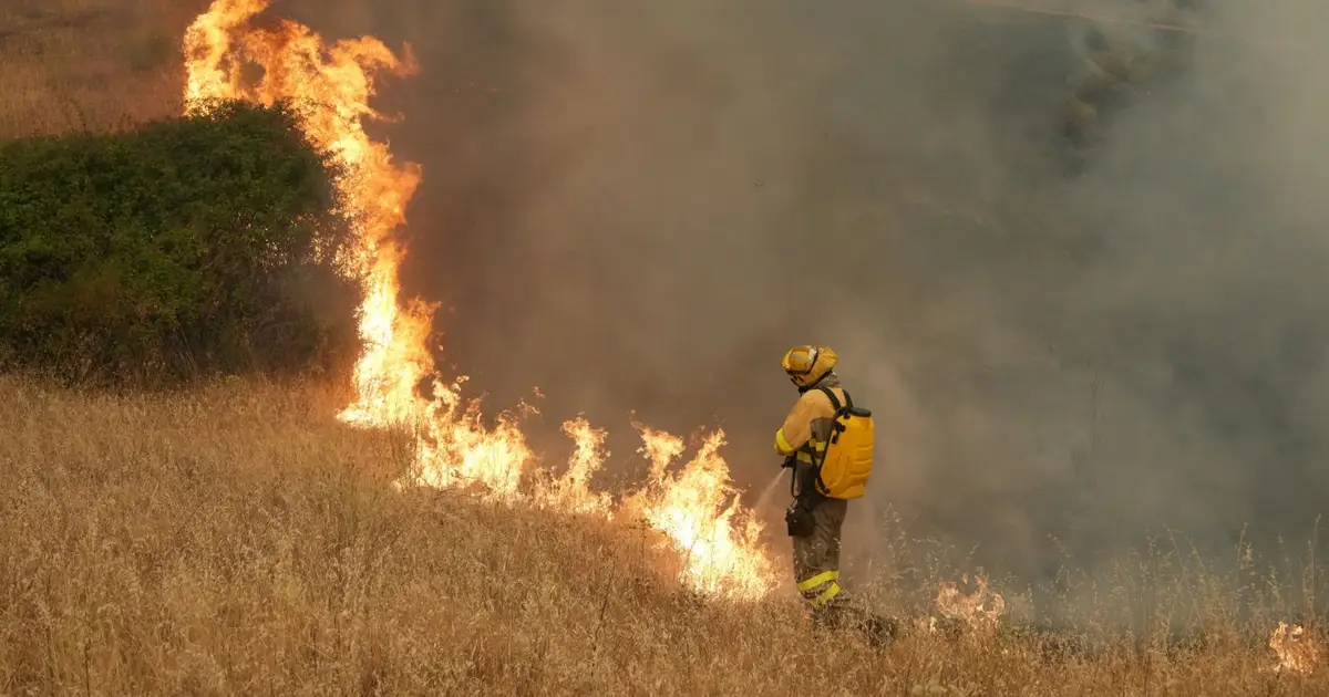 How Europe can make its landscapes more fire-resilient