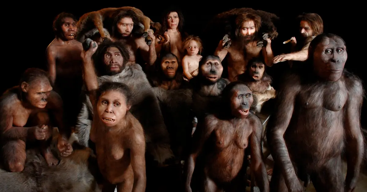 The 85-million-year timeline of human evolution