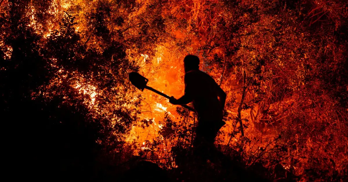 We must adapt to climate change while also tackling the root cause