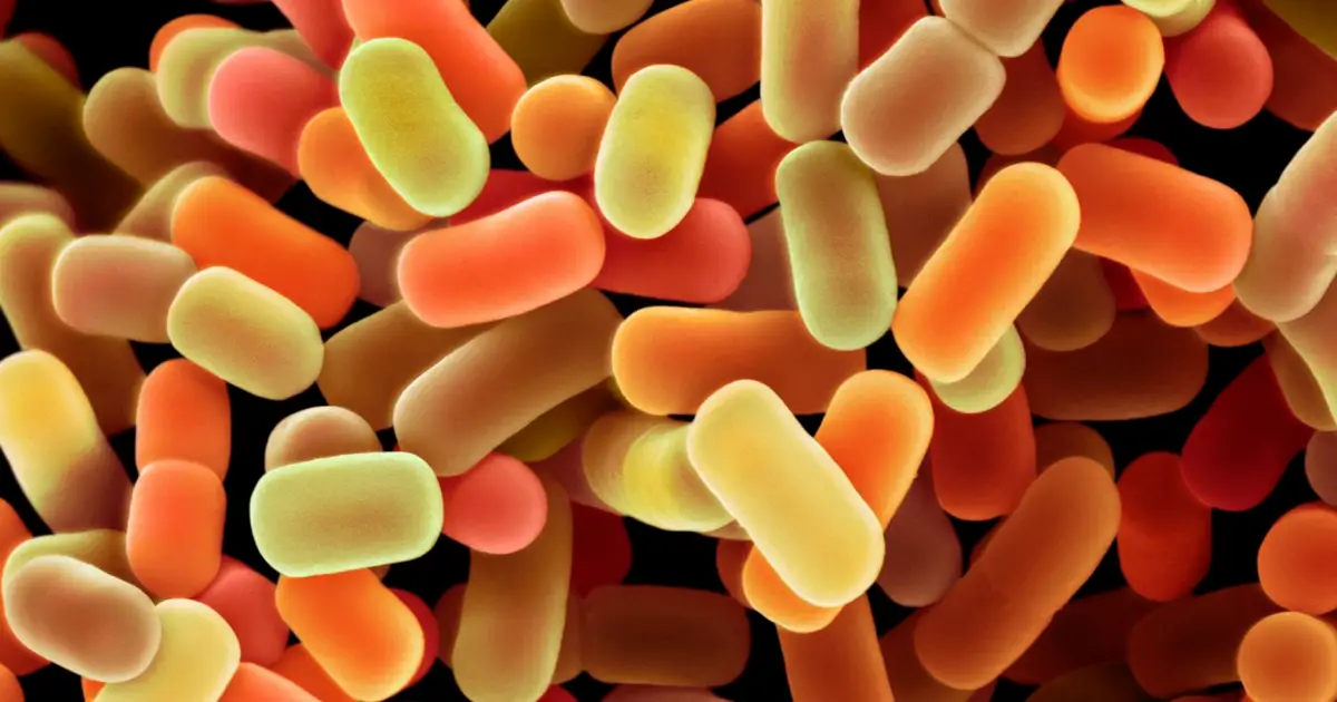 Postbiotic supplement boosts body’s own GLP-1 and weight loss