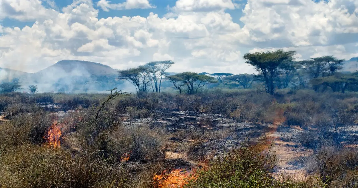 Monsoon-driven wildfires may have shaped human evolution