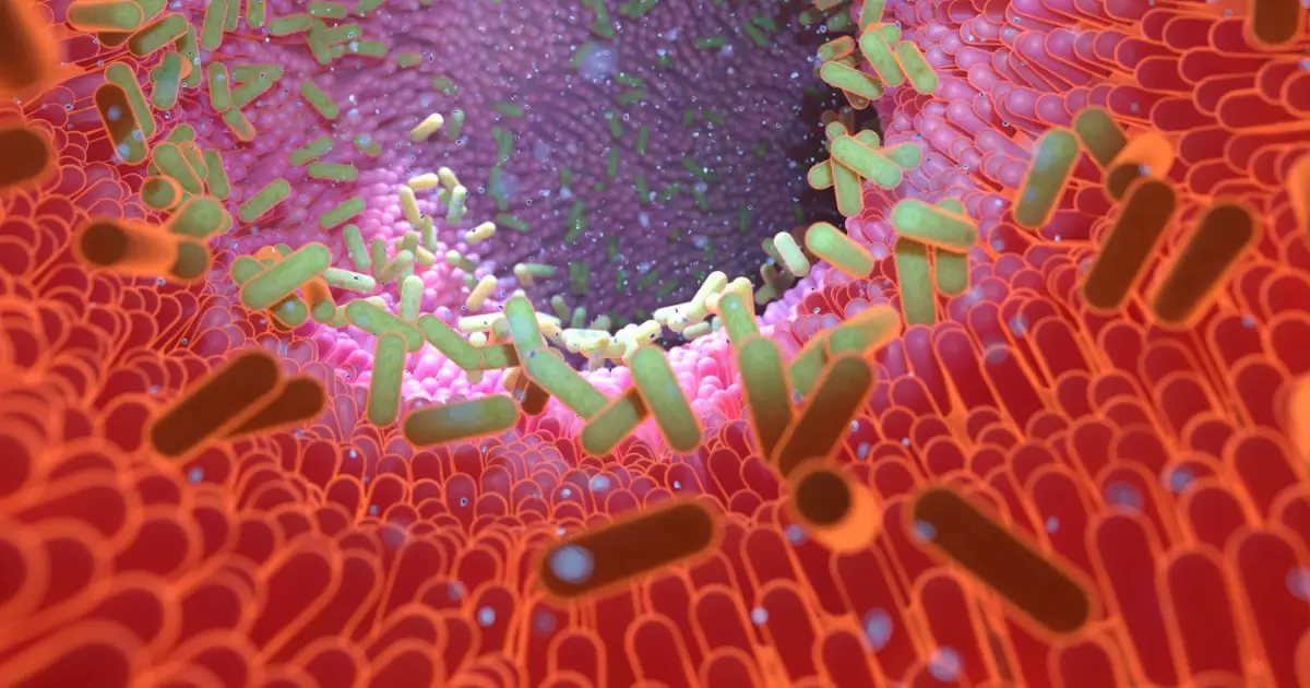Postbiotic could reduce the risk of brain damage after a concussion