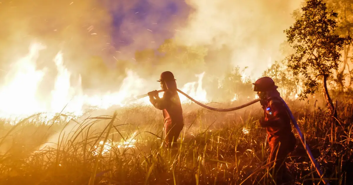 Super El Niño could lead to mega CO2 emissions from Indonesian fires
